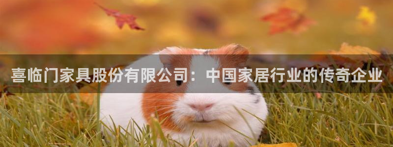 球盟会黑台