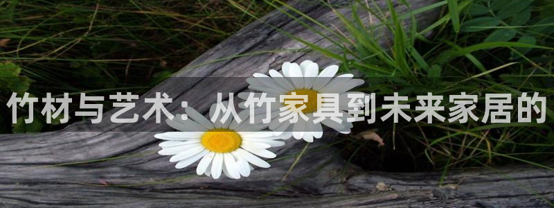 球盟会黑台