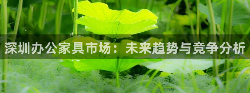 球盟会