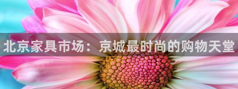 球盟会登陆入口