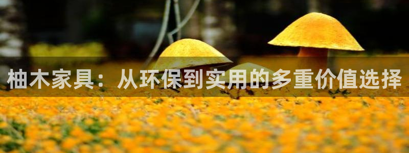 球盟会qmh登录地址