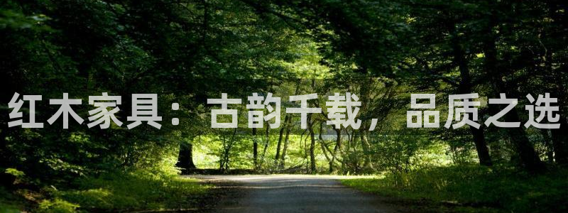 球盟会APP官网