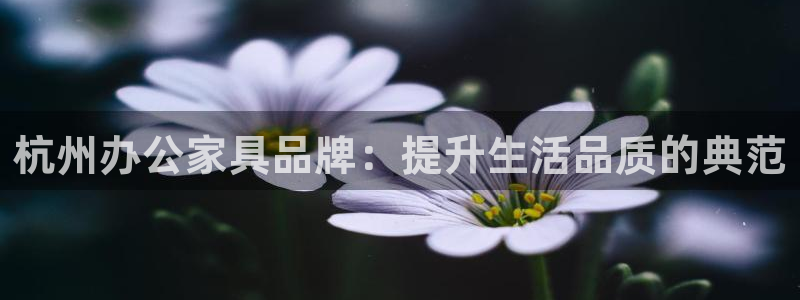 球盟会电子