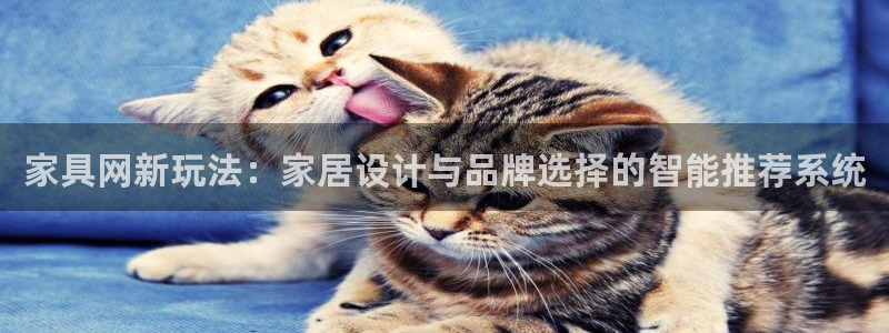 球盟会综合体育平台怎么样