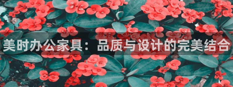 球盟会(中国)官方网站