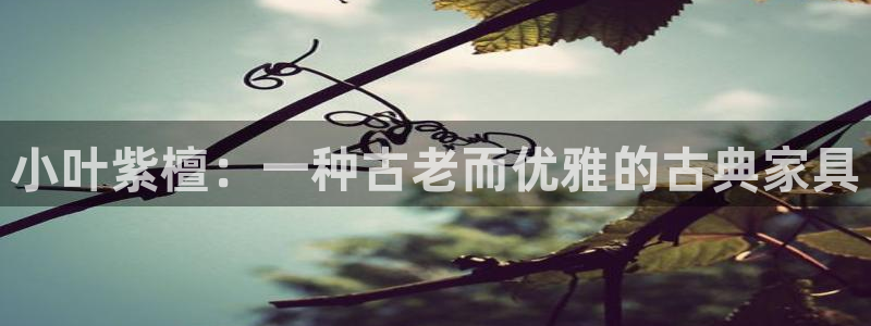 球盟会官方