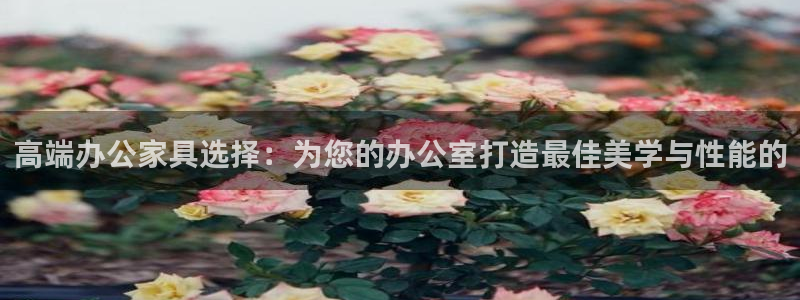 球盟会里面有打牌的嘛知乎