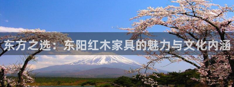 球盟会头号玩家：东方之选：东阳红木家具的魅力与文化内涵