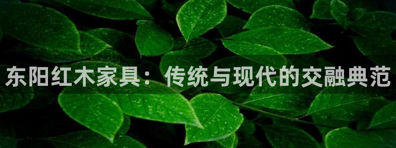 球盟会登陆