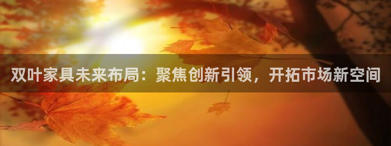 球盟会qmh电子网页版登录：双叶家具未来布局：聚焦创新引领，