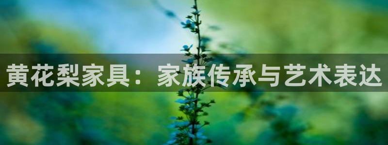 球盟会体验金：黄花梨家具：家族传承与艺术表达