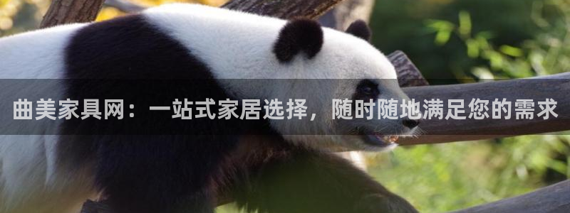 球盟会电子好下吗