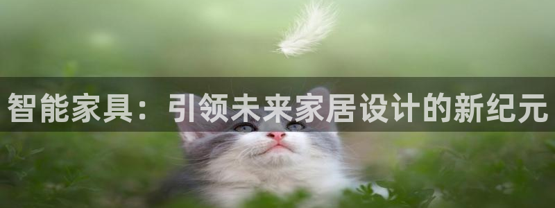 球盟会黑款吗还是白款