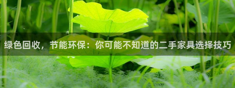 球盟会优惠券：绿色回收，节能环保：你可能不知道的二手家具选择