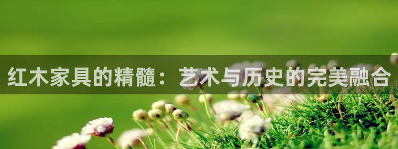 球盟会qm8597