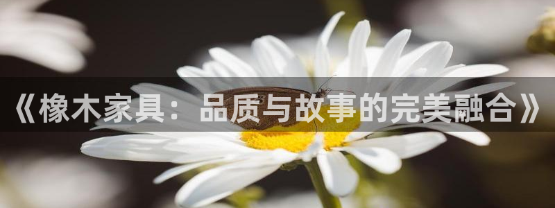 球盟会qm8597