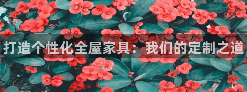 球盟会下款快吗