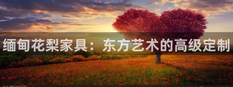 千亿球盟会乐玩