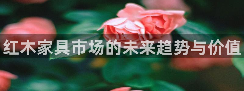 球盟会最新地址备用
