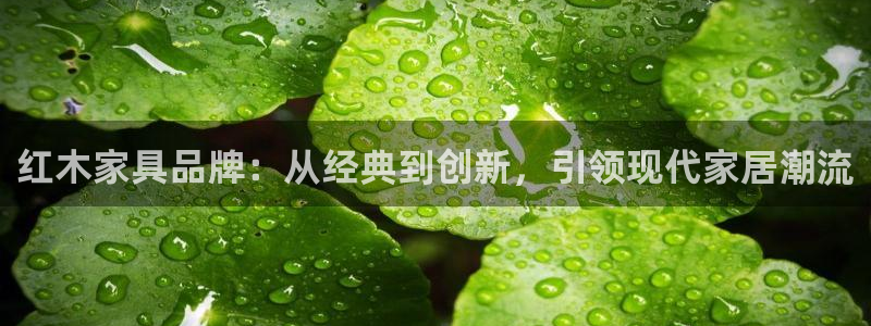 球盟会能退钱吗现在