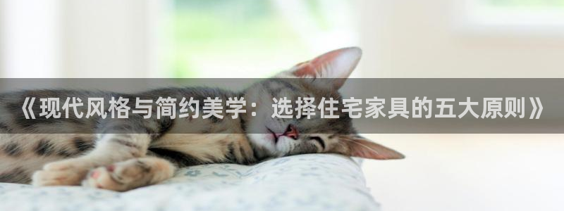 球盟会登陆