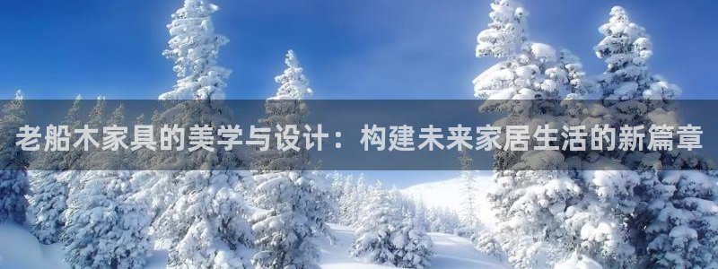球盟会网页登录：老船木家具的美学与设计：构建未来家居生活的新