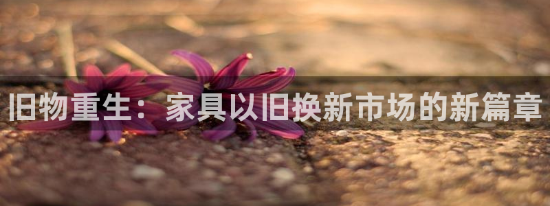 球盟会APP下载