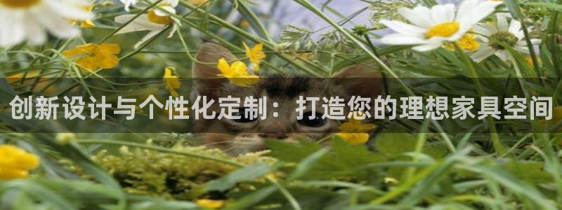 球盟会游戏几点玩合适