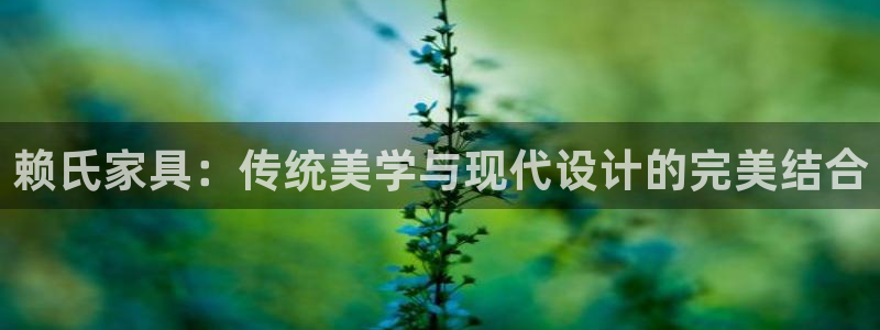 球盟会黑款吗