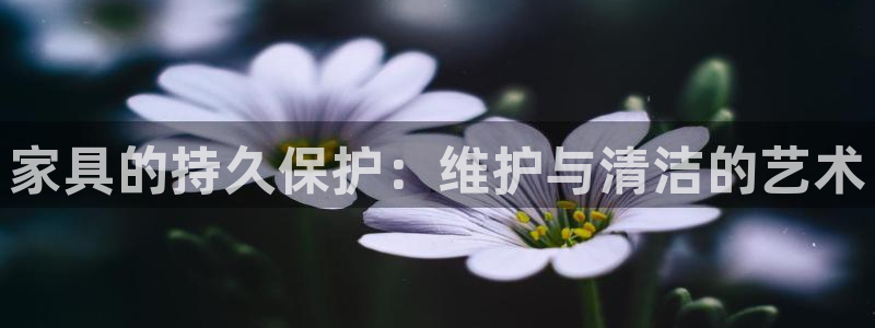 球盟会qmh官网