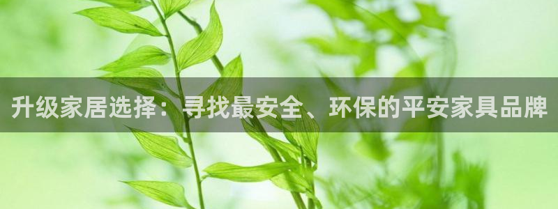 球盟会吧