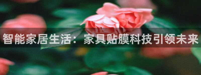球盟会能提现吗是真的吗