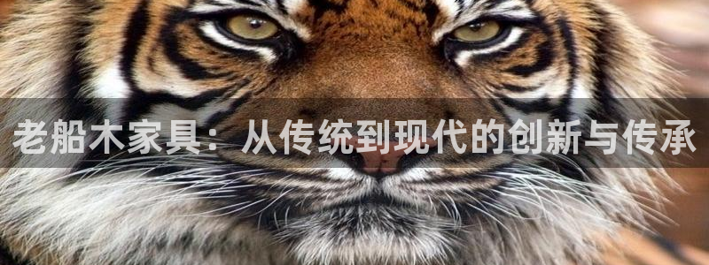 球盟会在线官网