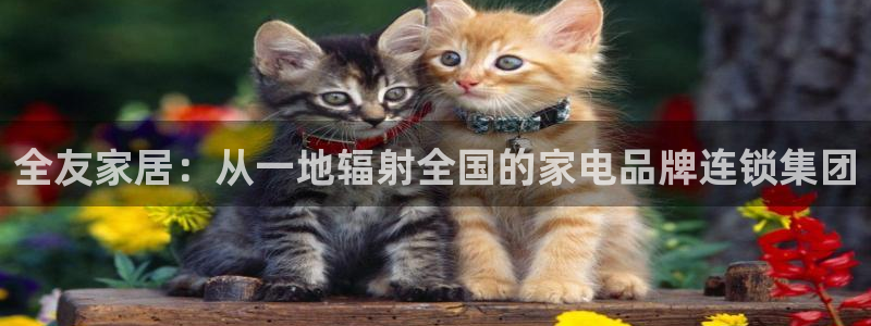 球盟会封禁