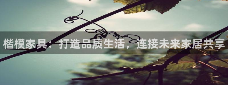 球盟会黑台子吗