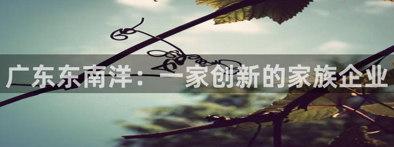 球盟会登录网址