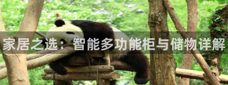 球盟会官方版下载地址