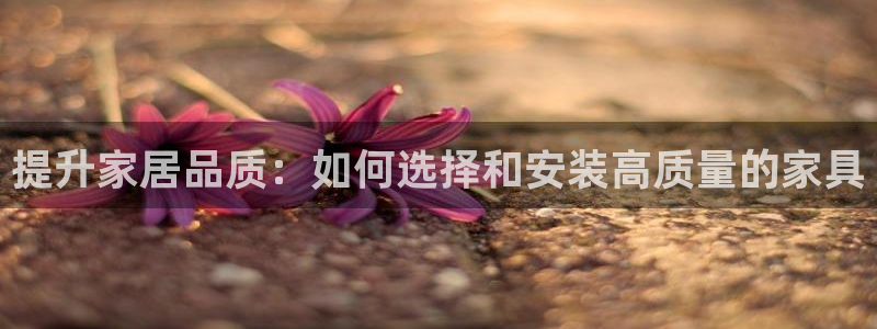 球盟会网页登录app下载地址