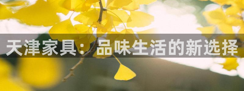 球盟会app：天津家具：品味生活的新选择