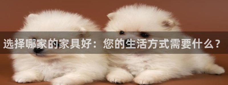 球盟会app最新地址在哪里