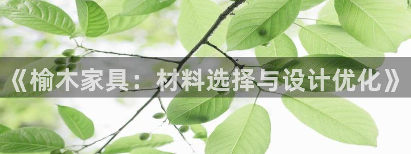 球盟会综合app下载