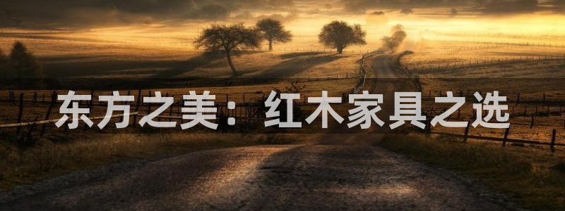 千亿球盟会：东方之美：红木家具之选