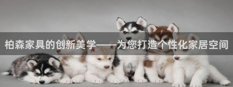 球盟会登陆中心