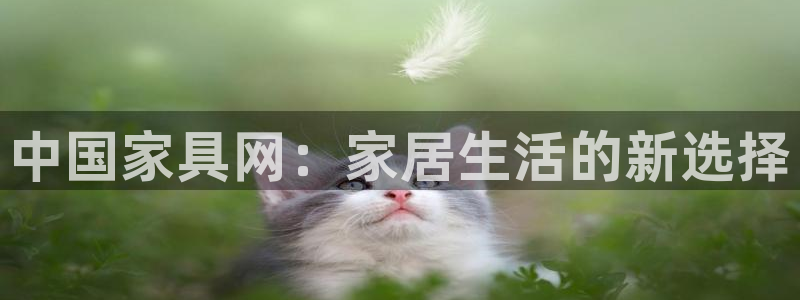 球盟会网页版登陆