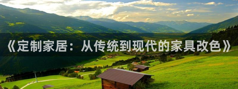 球盟会电子好黑：《定制家居：从传统到现代的家具改色》