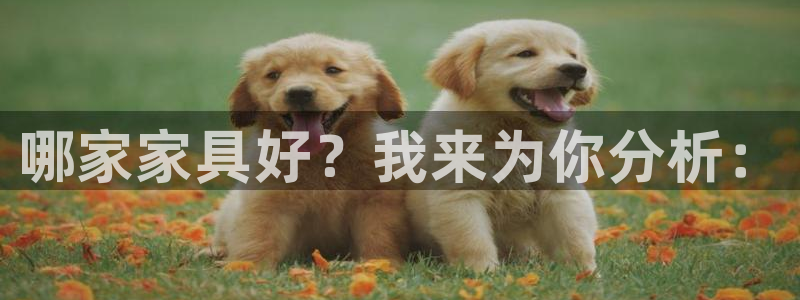 球盟会体育app官方网站