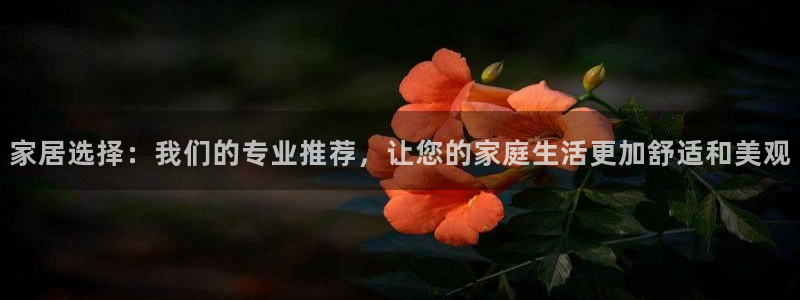 球盟会有没有黑单的活动