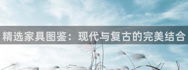 球盟会几点玩合适