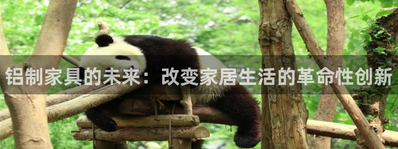 球盟会中国官方网站