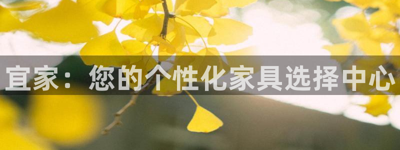 球盟会qmh网页版登录